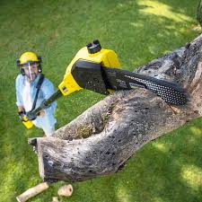 Best Lawn Maintenance Plans  in Glen Raven, NC